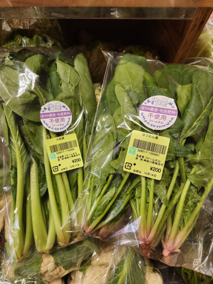 12月18日のおすすめ！ファーム片山さんの野菜