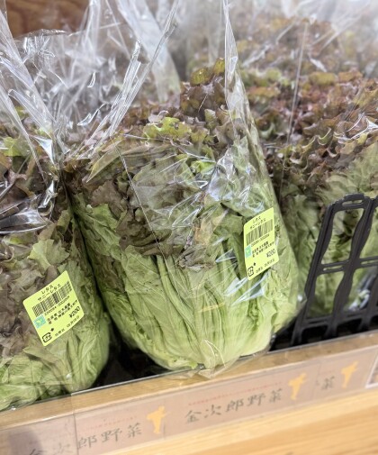 5月6日のおすすめ!古木農園さんの野菜