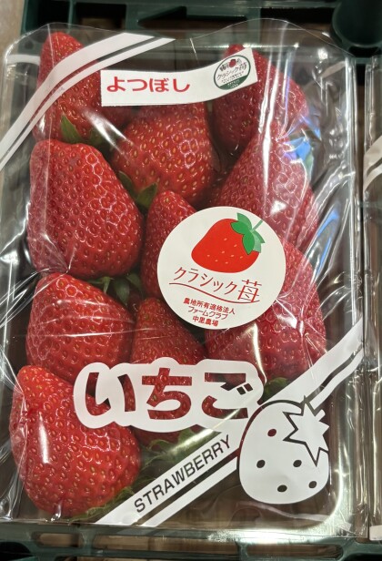 4月11日のおすすめ！いちご『よつぼし』