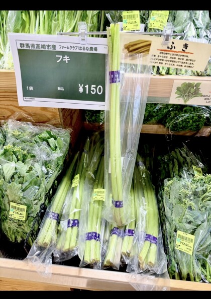 4月25日のおすすめ！自社農園産『ふき』