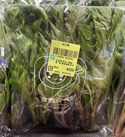 4月6日のおすすめ!町田産『明日葉』