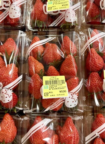 3月29日のおすすめ！クラシックいちご『やよいひめ』🍓
