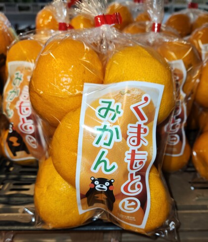 12月7日のおすすめ！『熊本みかん』