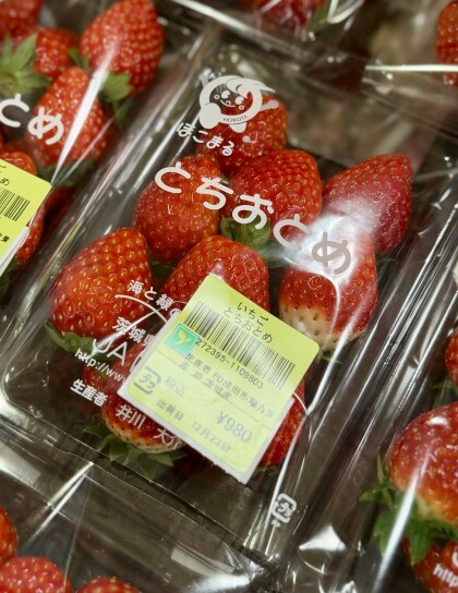12月24日のおすすめ！クラシックいちご『かおり野』🍓