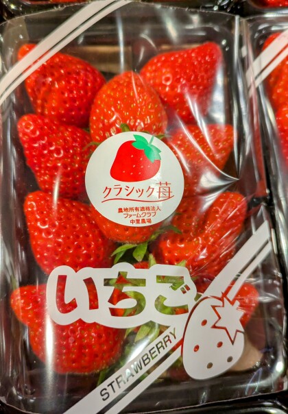 【公式サイト】正規ブランド品通販 4月12日のおすすめ！自社農園産のいちご『やよいひめ 果物