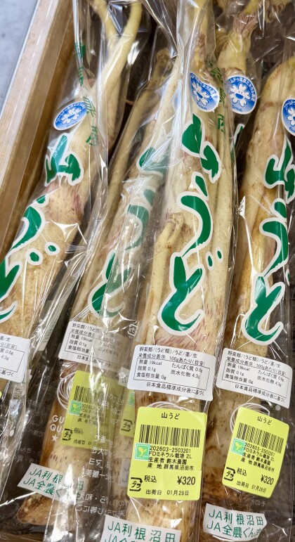 1月28日のおすすめ!『山うど』