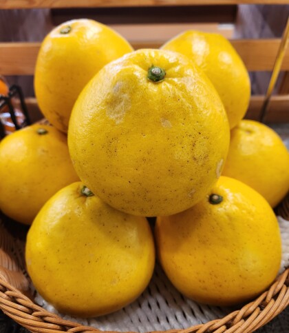 2月12日のおすすめ!『文旦(ぶんたん)』