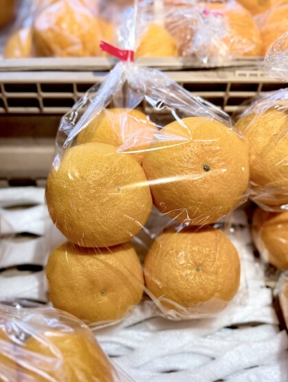 4月1日のおすすめ！柑橘『不知火（しらぬい）』