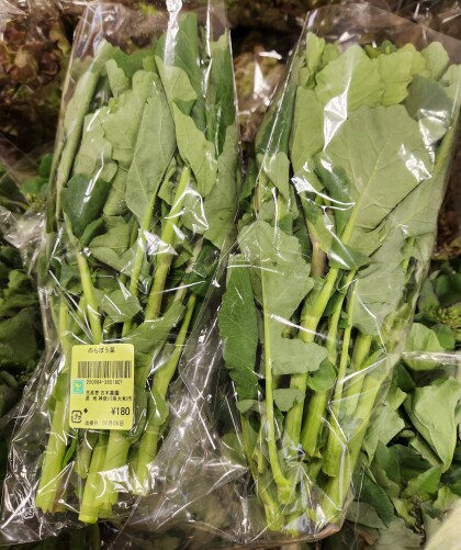 4月5日のおすすめ!古木農園生産の『のらぼう菜』