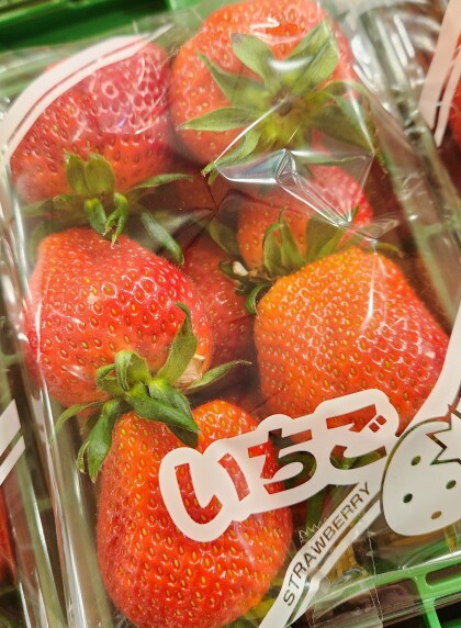 4月3日のおすすめ！いちご『やよいひめ（訳あり品）』🍓