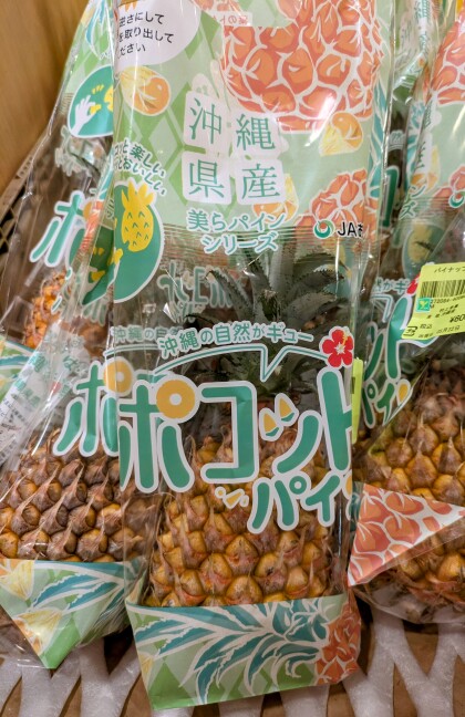 5月24日のおすすめ！沖縄県産『ポコットパイン』