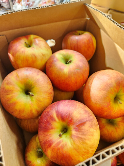 9月27日のおすすめ！訳ありりんご🍎箱入り🍎『サンつがる』『シナノドルチェ』