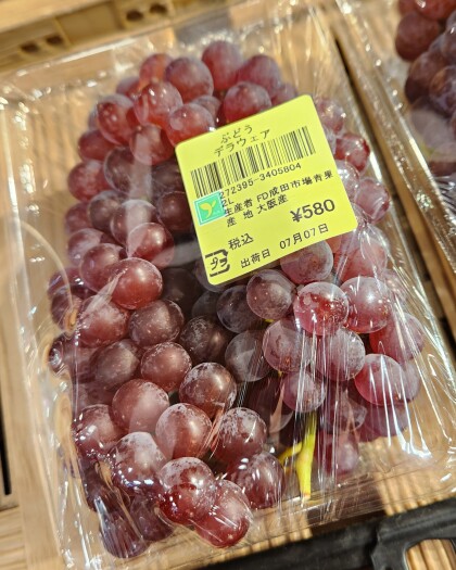 7月7日のおすすめ！🍇『デラウェア』🍇