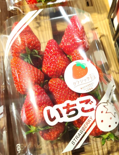 4月27日のおすすめ！クラシックいちご『紅ほっぺ』🍓