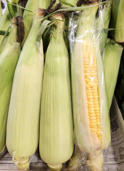 6月23日のおすすめ！とうもろこし🌽『ゴールドラッシュ』