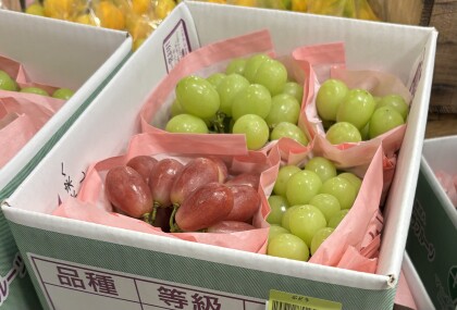 9月26日のおすすめ!山梨県産「ミックスぶどうセット」