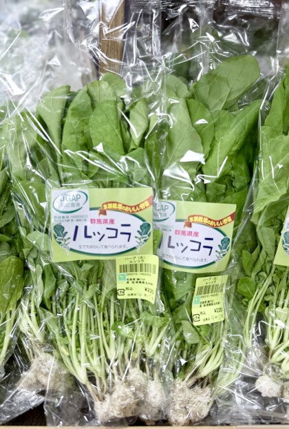 4月15日のおすすめ！群馬県産『ルッコラ』