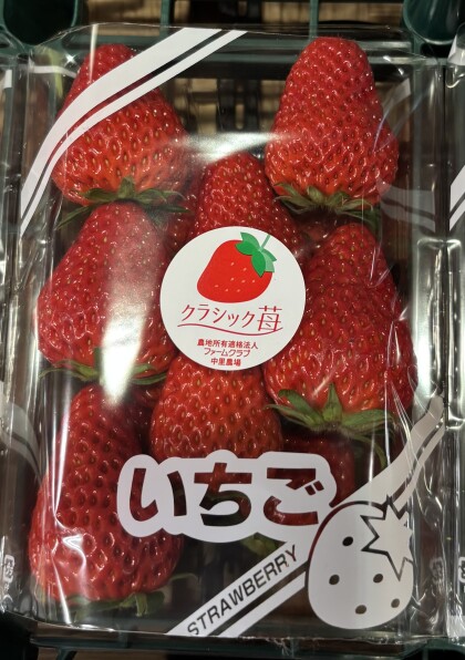 3月1日のおすすめ！クラシックいちご『紅ほっぺ』🍓