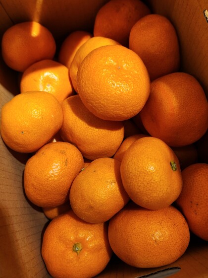 1月2日のおすすめ！新春初売り企画『福箱（新鮮野菜と産地直送みかんの箱セット）』発売！！