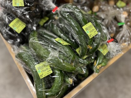 6月29日のおすすめ！古木農園さんの野菜