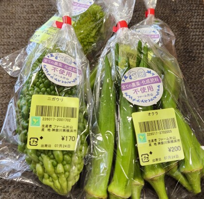 7月24日のおすすめ!✨ファーム片山さんの野菜✨