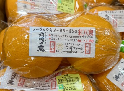 2月14日のおすすめ！和歌山県産『紅はっさく』