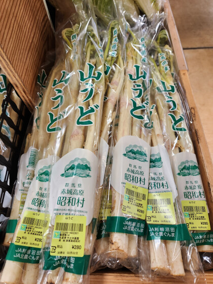 3月2日のおすすめ!『山うど』