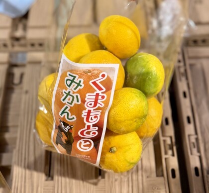 10月6日のおすすめ！熊本県産『みかん』