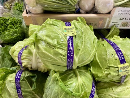 4月27日のおすすめ！種類いろいろ！古木農園の野菜
