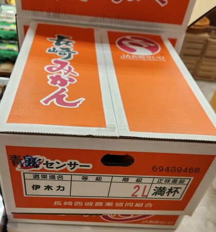 2月6日のおすすめ！『箱入り長崎みかん』