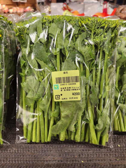 3月31日のおすすめ!横浜市産『菜花』