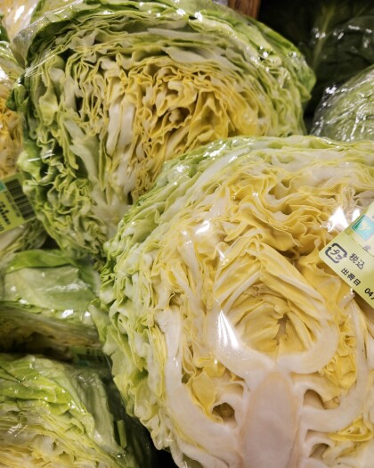 4月14日のおすすめ！群馬県産『春キャベツ』