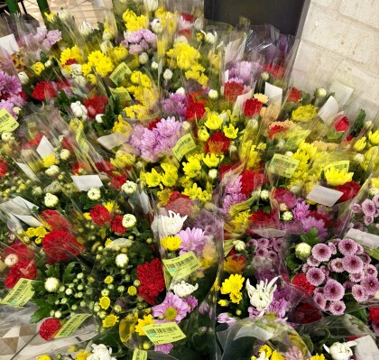 3月21日のおすすめ！『切り花』