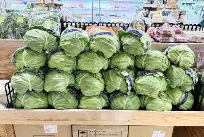 5月1日のおすすめ！地元町田市産『キャベツ』