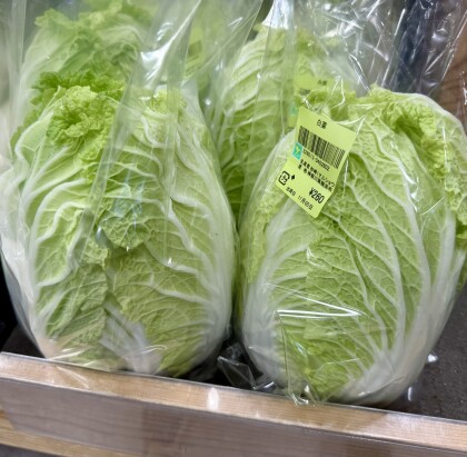 11月6日のおすすめ！『長津田産の新鮮野菜』