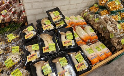 1月18日のおすすめ!きのこ