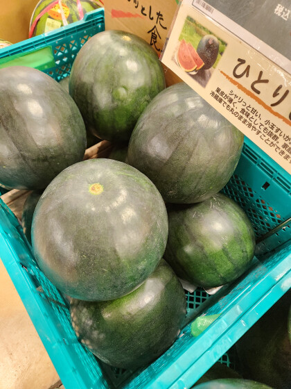 8月9日のおすすめ！山形県産🍉『ひとりじめ西瓜』🍉