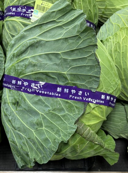 1月11日のおすすめ！愛知県産『春キャベツ』