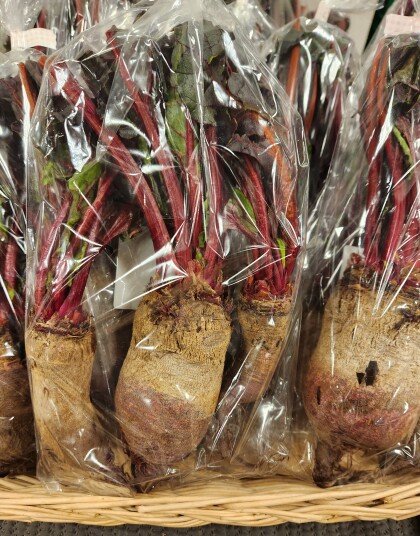 3月7日のおすすめ!『ビーツ』