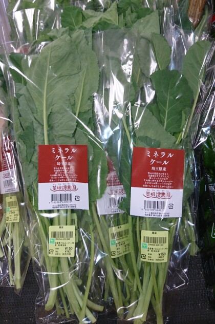 4月日のおすすめ ミネラルケール ファームドゥ 食の駅 ショップトピックス グランベリーパーク