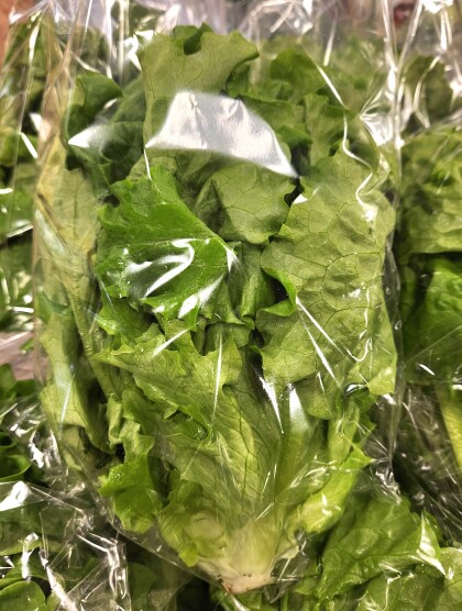 11月15日のおすすめ！『リーフレタス』