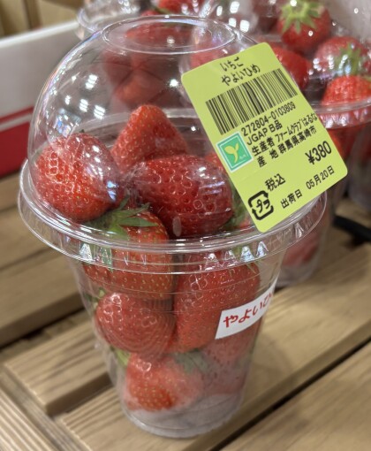 5月20日のおすすめ！いちご『やよいひめ』🍓