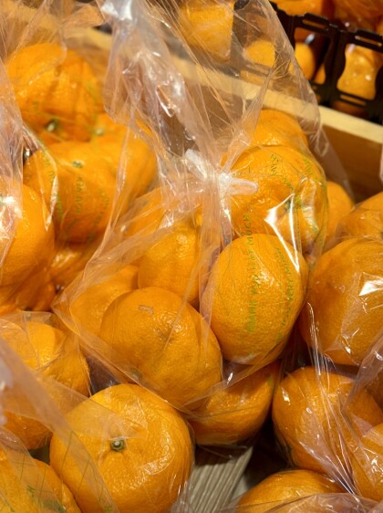 1月17日のおすすめ！大きな3Ｌサイズ！『熊本みかん』