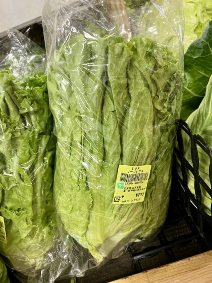 4月27日のおすすめ！種類いろいろ！古木農園の野菜