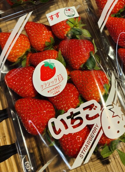 2月3日のおすすめ！自社農園産いちご『ベリーポップ すず』