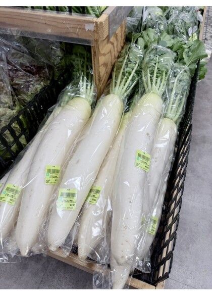 5月6日のおすすめ!古木農園さんの野菜