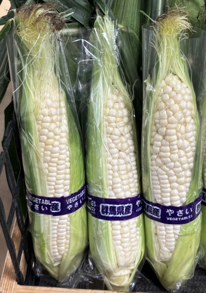 8月12日のおすすめ!とうもろこし『白い惠味』