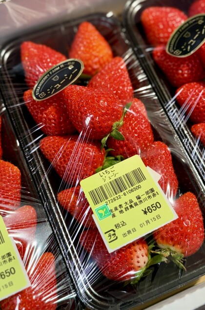 1月15日のおすすめ!いちご『淡雪』と『ジューシー』