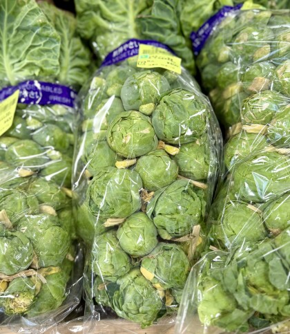 2月18日のおすすめ! 群馬県産『芽キャベツ』