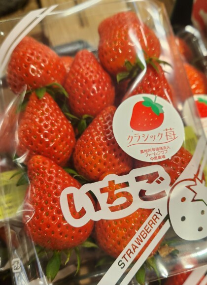 3月15日のおすすめ!クラシックいちご『やよいひめ』🍓